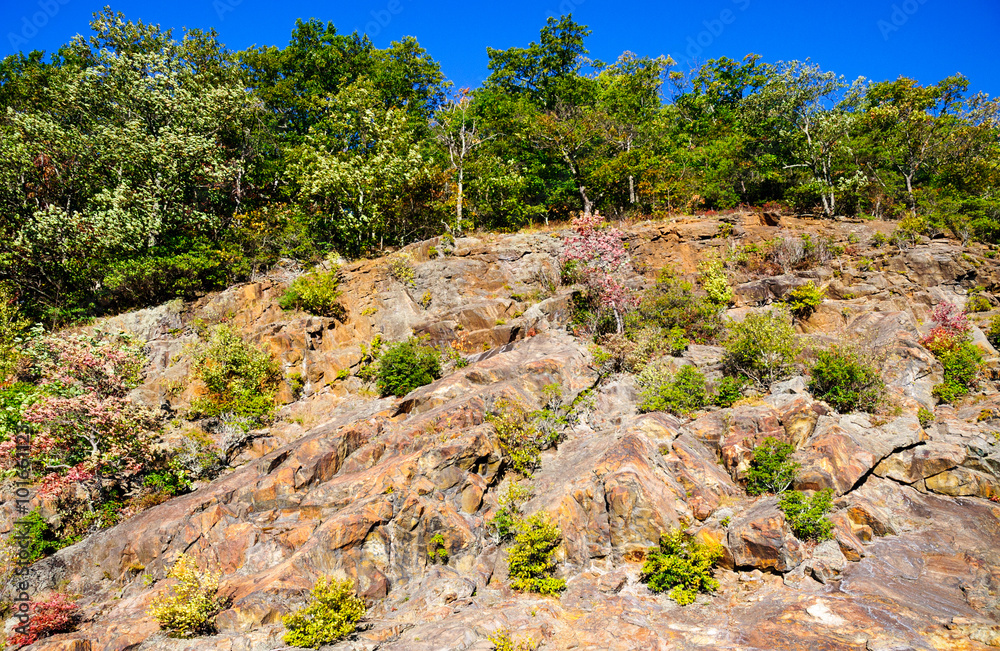 Fototapeta premium Blue Ridge Parkway