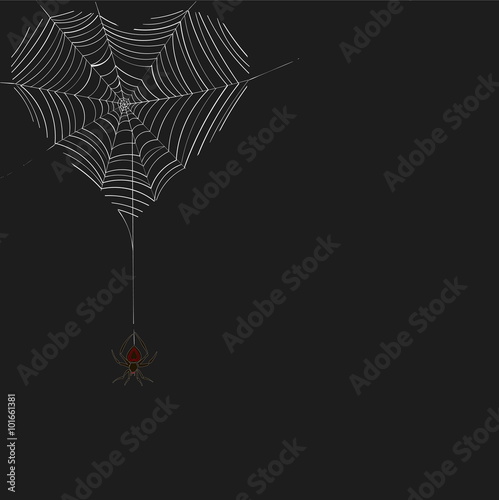 heart from the web of a spider on web