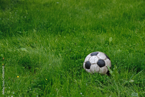 soccer ball on the grass.