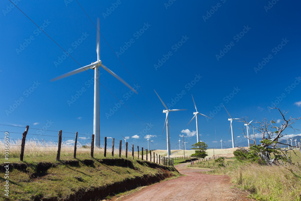 Wiatraki - Elektrownia wiatrowa