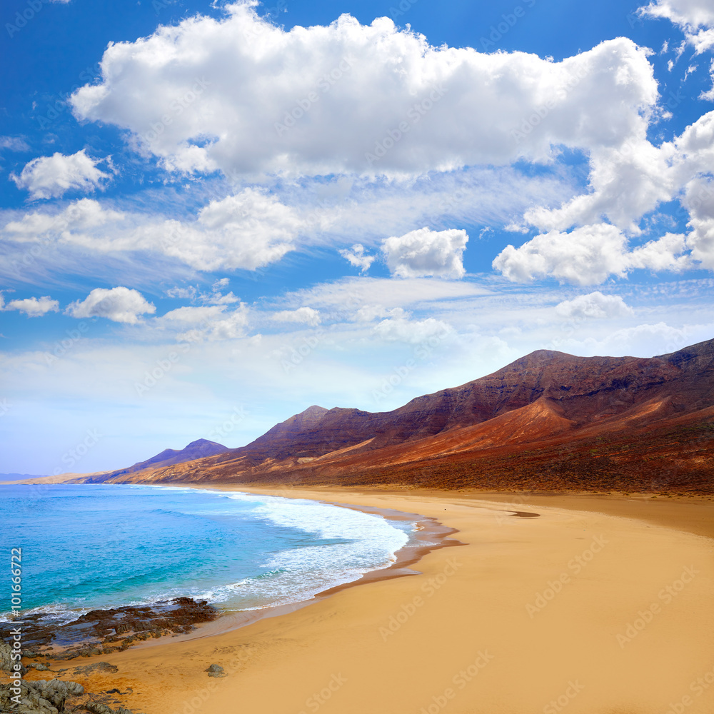 Cofete Fuerteventura beach at Canary Islands