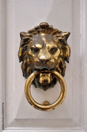 Ornate metal lion-head door knocker on a white wooden door background