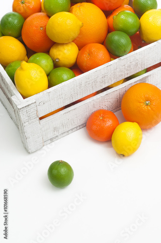 Obstkiste mit frischen Zitrusfr  chten  Orangen  Zitronen  Mandarinen  Limetten  Saftbar  gesunde Ern  hrung  Vitamin C  gemischt