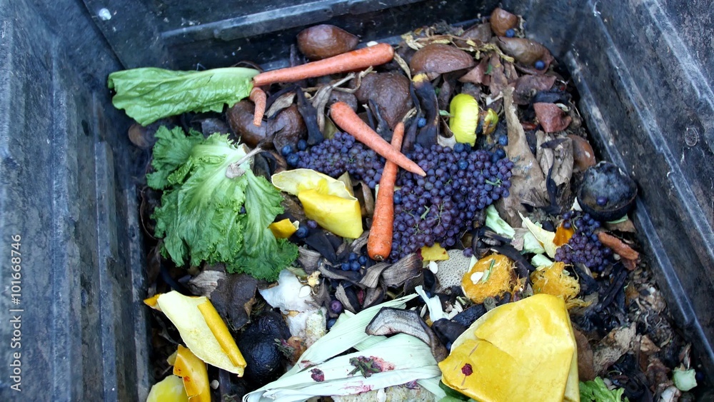 Fruits and vegetables decompose in a backyard compost bin. Fruits and vegetables decompose in a backyard compost bin.