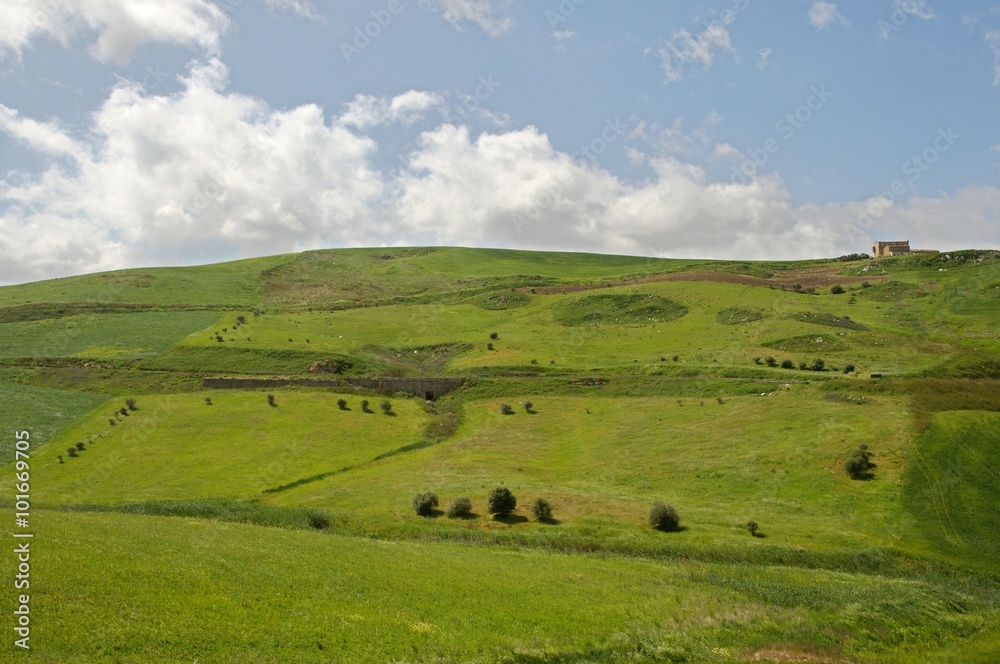 Hilly agricultural landscape near town Ribera, Sicily, Italy