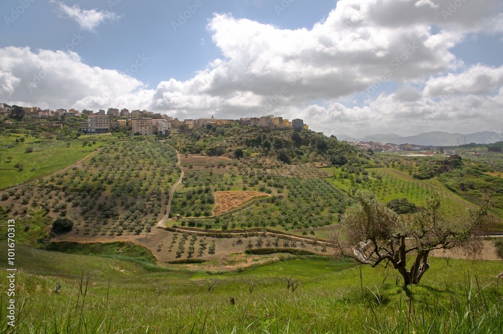 Agricultural landscape near town Cianciana, Sicily, Italy