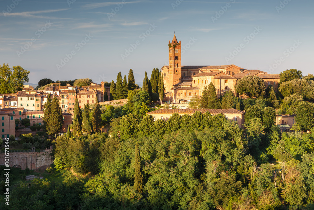 Cityscape of city Siena, Tuscany, Italy