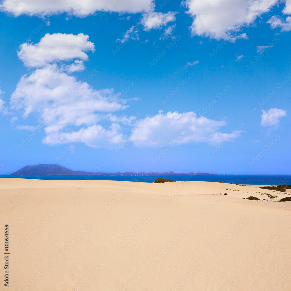 Corralejo dunes Fuerteventura island desert