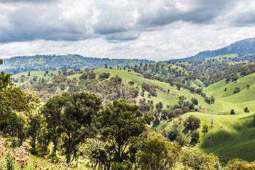 Fotobehang Heuvel Hunter Valley heuvels in Australië  © lizcoughlan