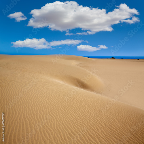Corralejo dunes Fuerteventura island desert