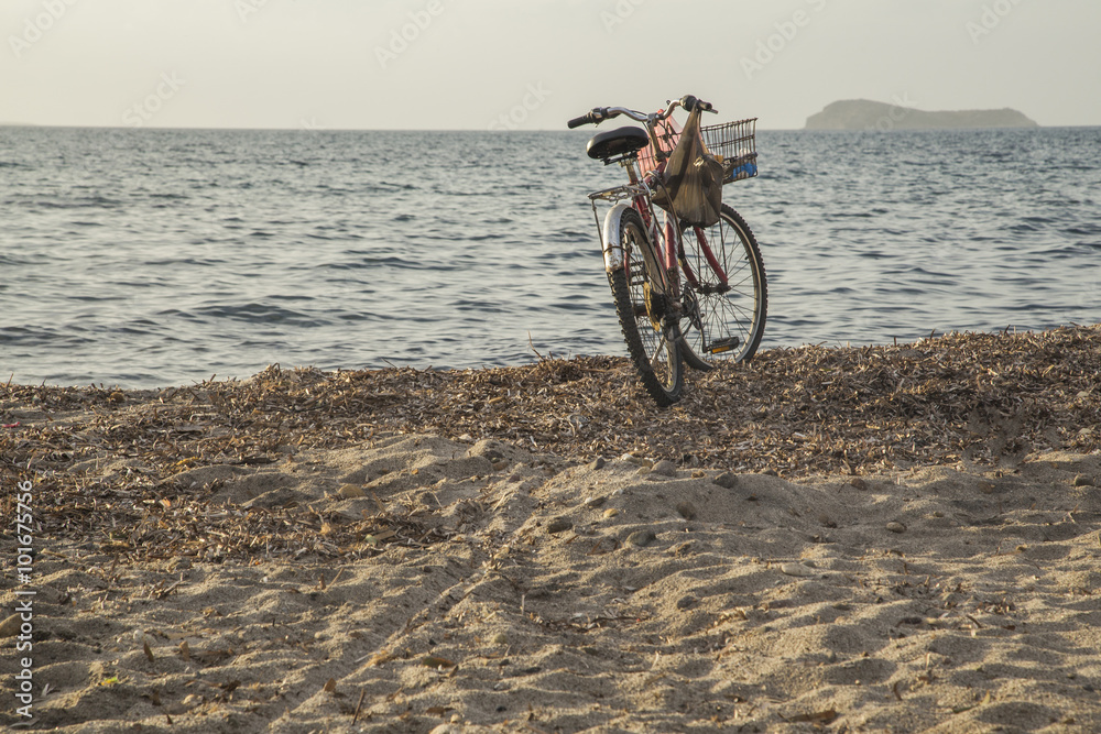 Fototapeta premium A bicycle at the beach