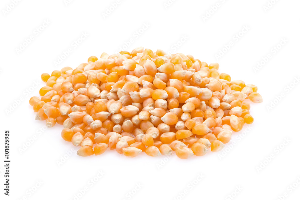 Corn seeds isolated on white background Corn seeds isolated on white background