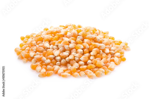 Corn seeds isolated on white background