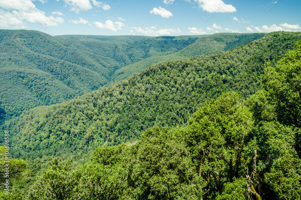 View from Thunderbolts Lookout, Barrington Tops National Park, NSW, Australia