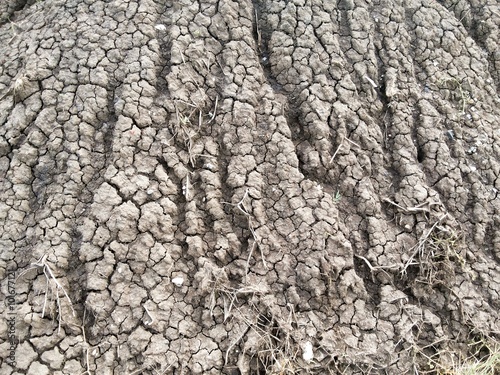 dry cracked soil texture background