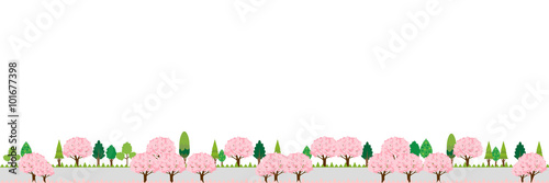 桜　春　花　背景