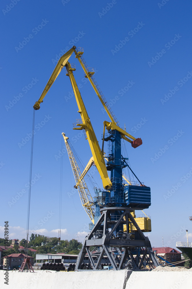 harbour cranes on loading in sea port