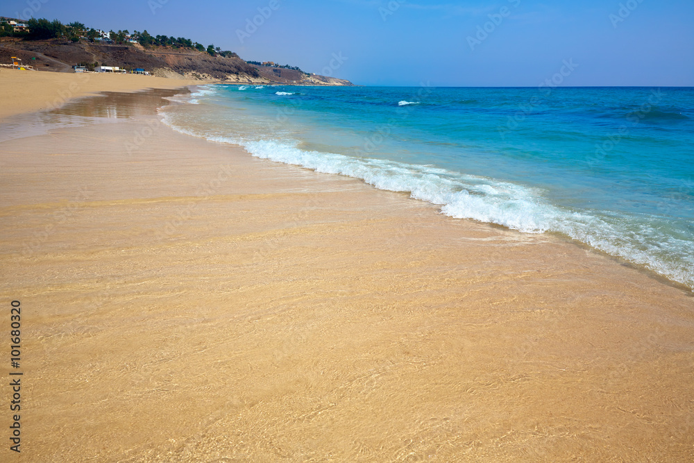 Butihondo Jandia beach Fuerteventura Canary