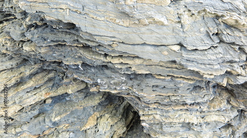 sedimentary rock sea
