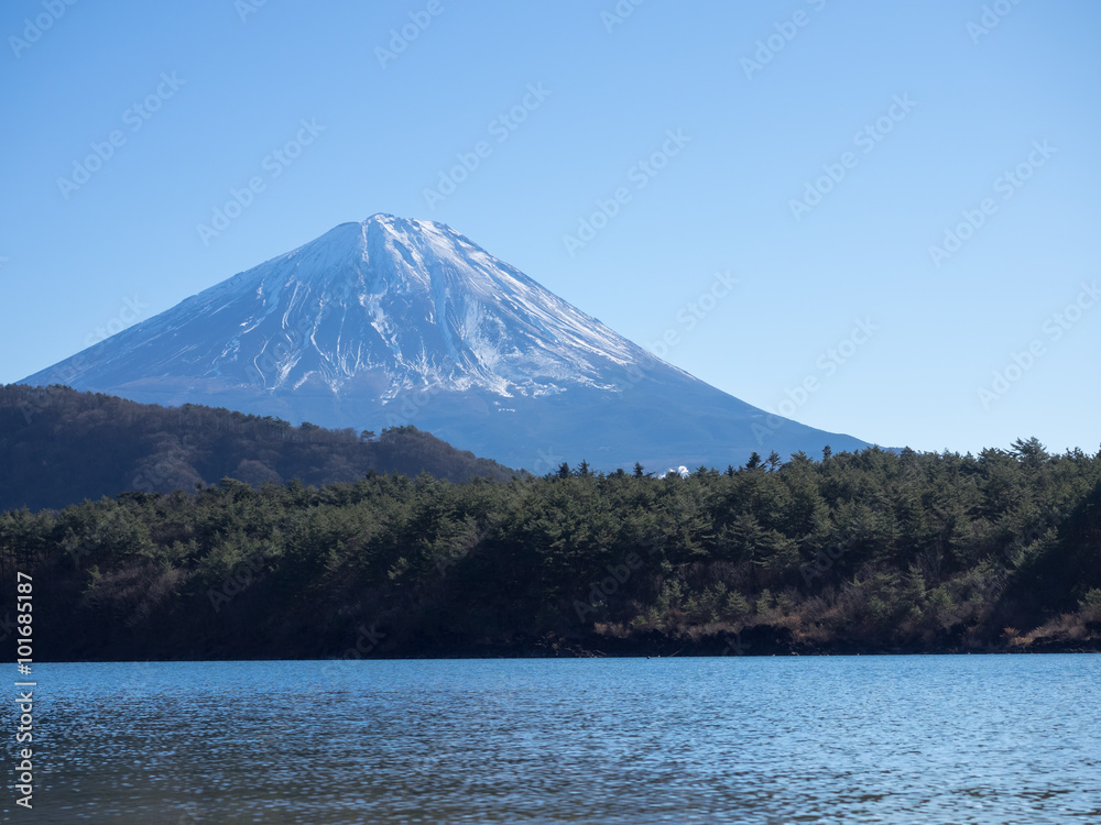 美しい富士山と西湖