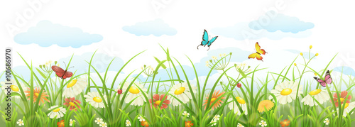 Spring summer banner with green grass, flowers and butterflies
