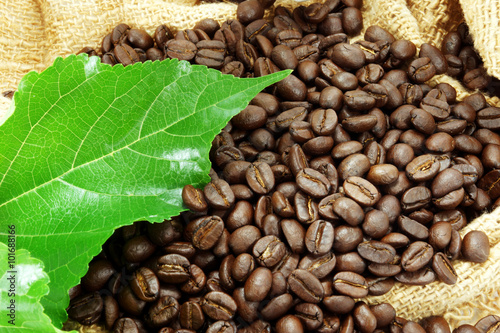Roasted coffee beans with green leaf.