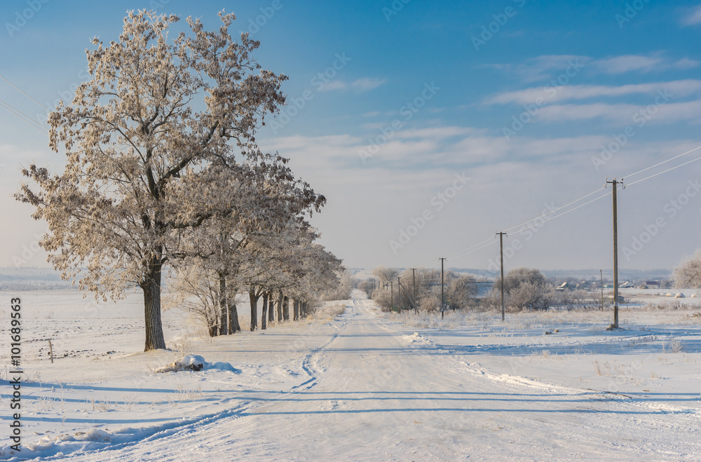 Winter landscape with country road in Sursko-Mykhailyvka village, Ukraine Winter landscape with country road in Sursko-Mykhailyvka village, Ukraine