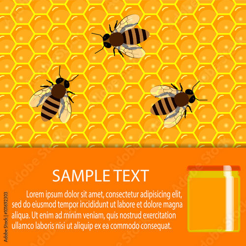 honeycomb and sweet honey drips. apiary products and beekeeping. 