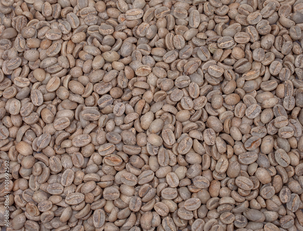 full lot of arabica coffee beans full lot of arabica coffee beans