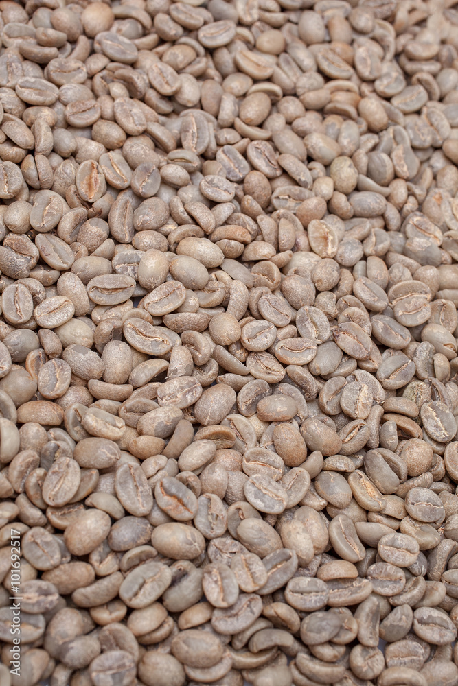 full lot of arabica coffee beans full lot of arabica coffee beans
