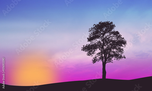 A lone tree on beautiful sunset © Balint Radu