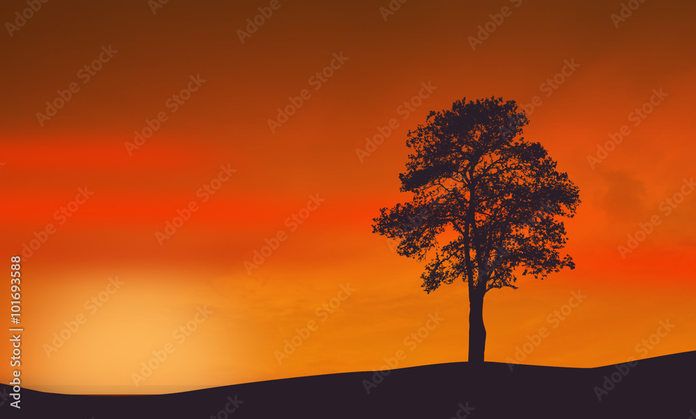 A lone tree on beautiful sunset
