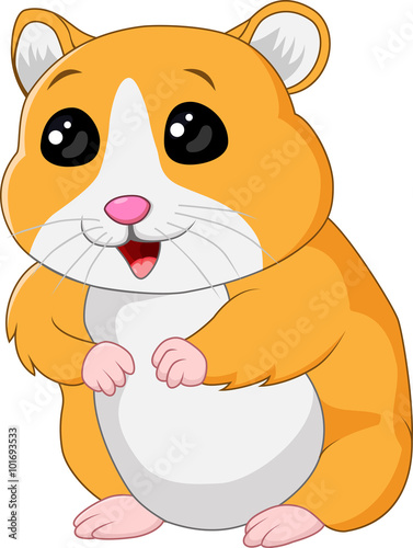 Cute hamster posing isolated on white background