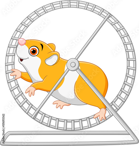 Cute hamster running in roling wheel