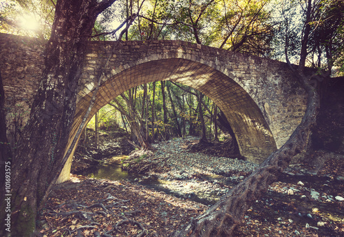 Bridge on Cyprus © Galyna Andrushko