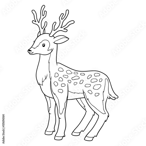 Coloring book for children (deer)