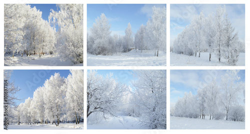 Collage from winter landscapes