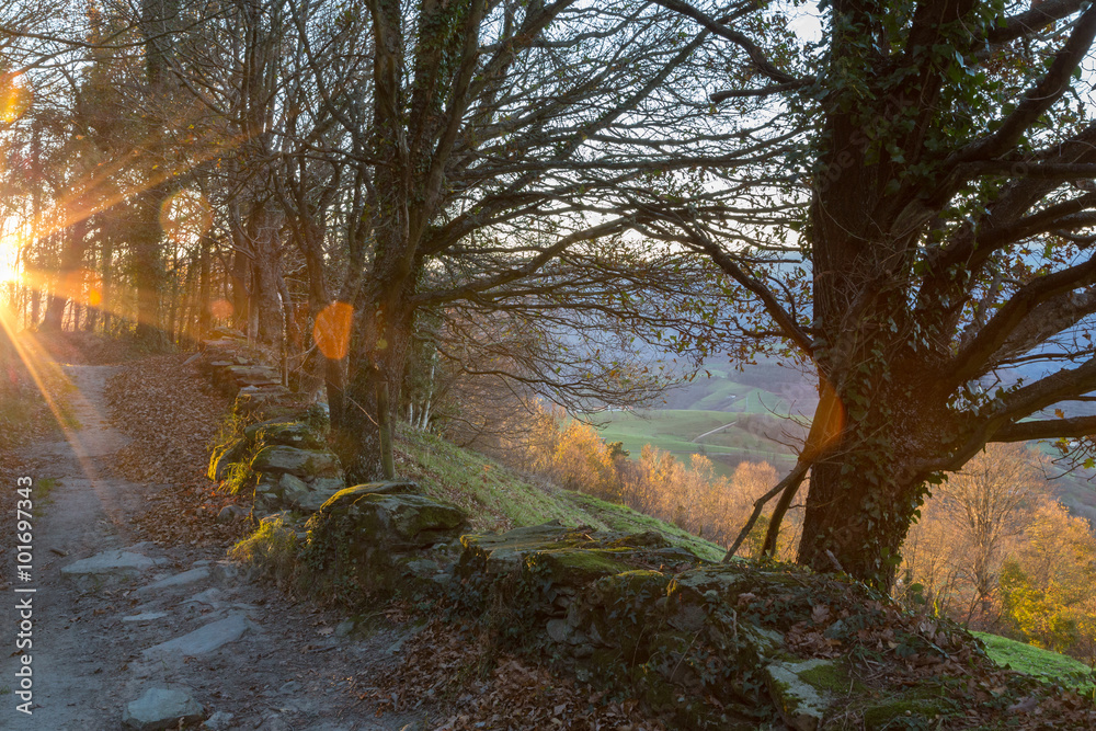Φωτογραφία Sunrise near Tineo and Piedratecha on the Camino Primitivo a World Heritage Site