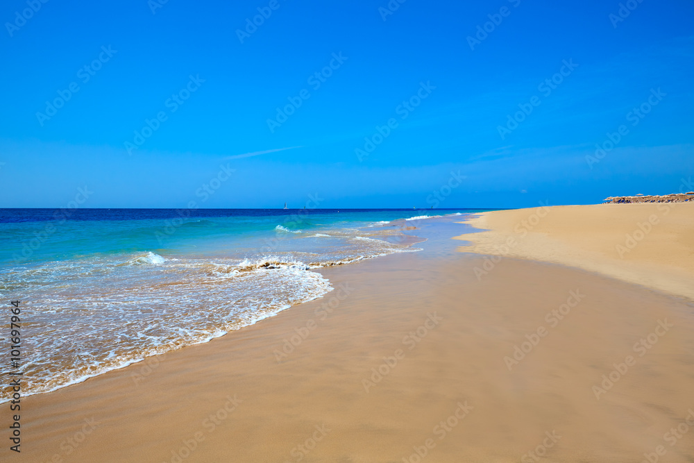 Morro Jable Matorral beach Jandia in Fuerteventura