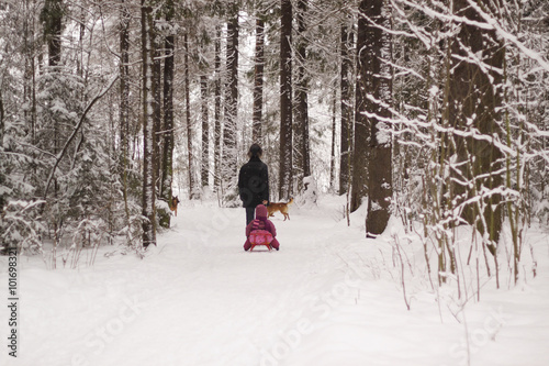 the father of the baby rolls on a sled in the forest