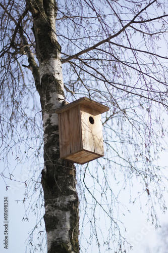 spring birdhouse in a tree