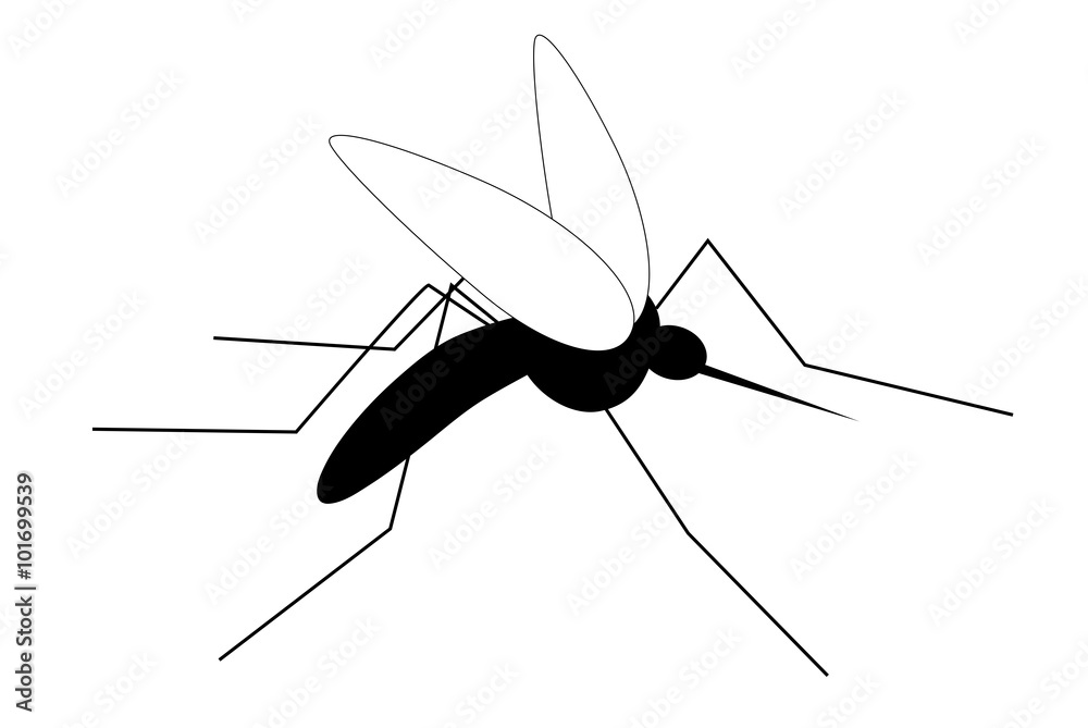 Fotografija Minimalistic vector gnat