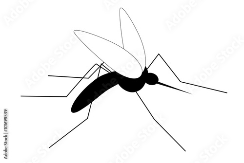 Minimalistic vector gnat