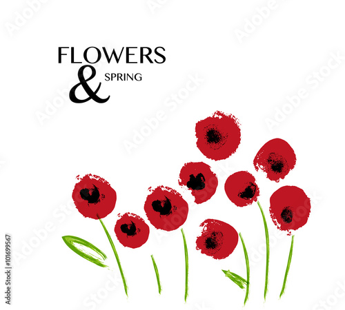 Fototapeta Naklejka Na Ścianę i Meble -  Hand drawn illustration of abstract watercolor poppy flowers on white backdrop