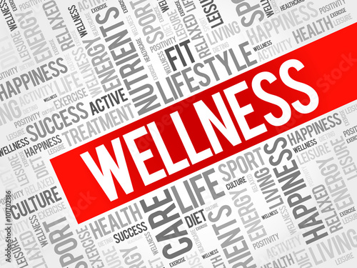 WELLNESS word cloud, fitness, sport, health concept