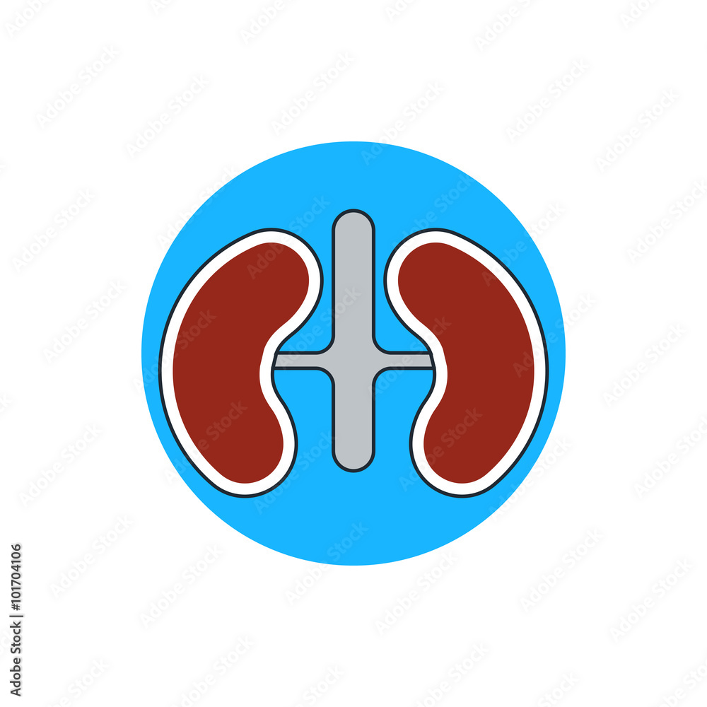 icon kidneys