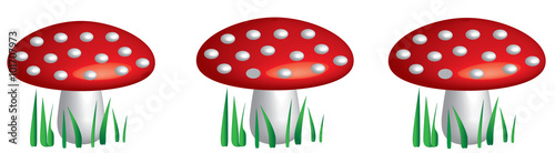 Mushrooms illustration