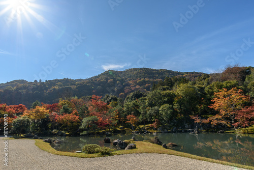 天龍寺 日本庭園 