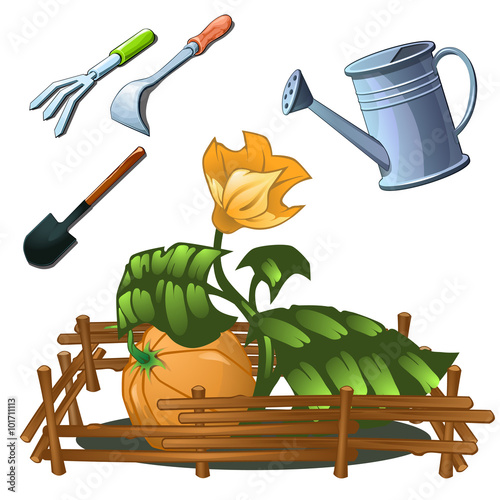 Tools for the cultivation of horticultural crops
