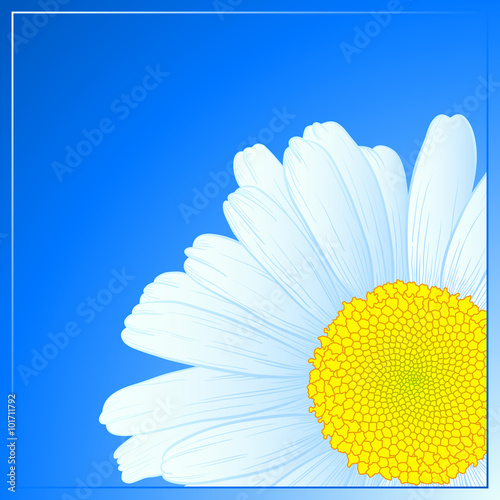 Vector daisy design.